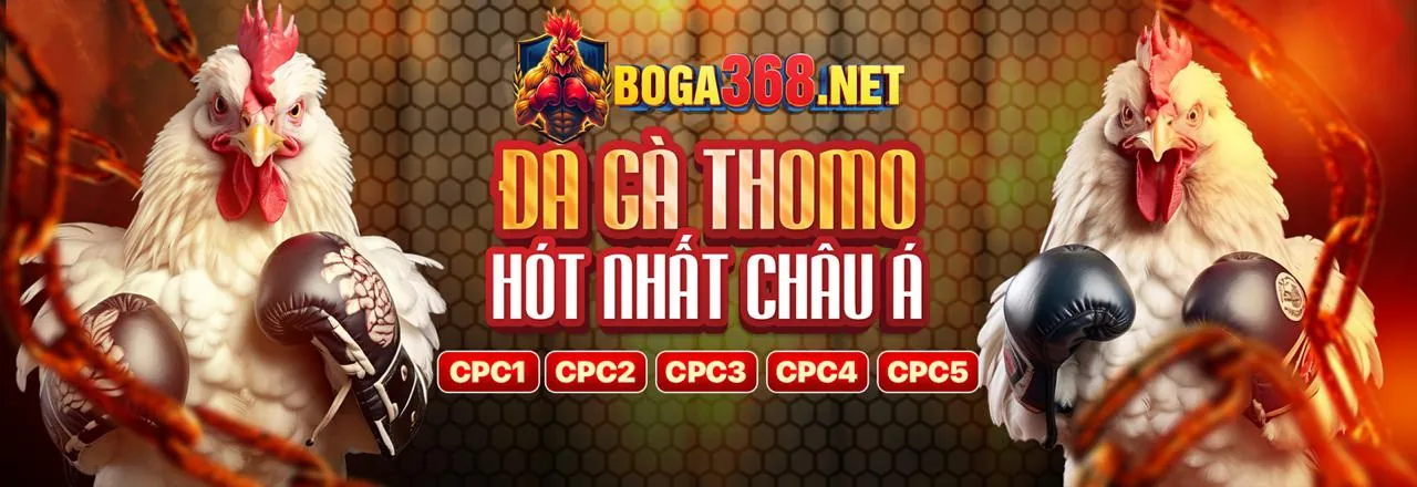 Cam kết an toàn và trách nhiệm của e2betvip link vào