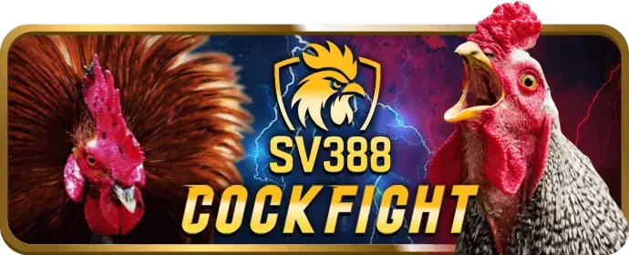 Chiến lược cá cược thể thao e2betvip